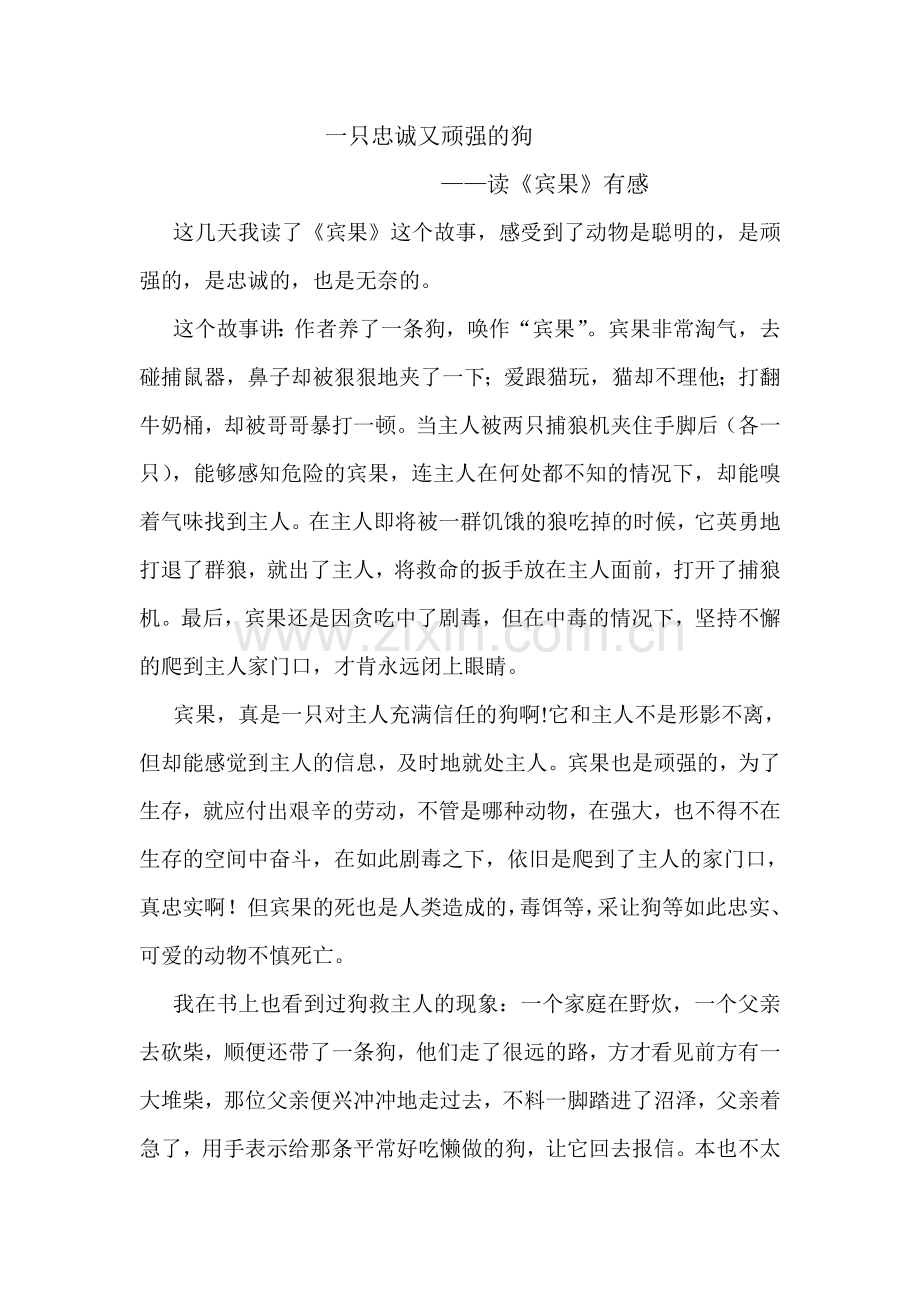 一只忠诚又顽强的狗（读后感）.doc_第1页