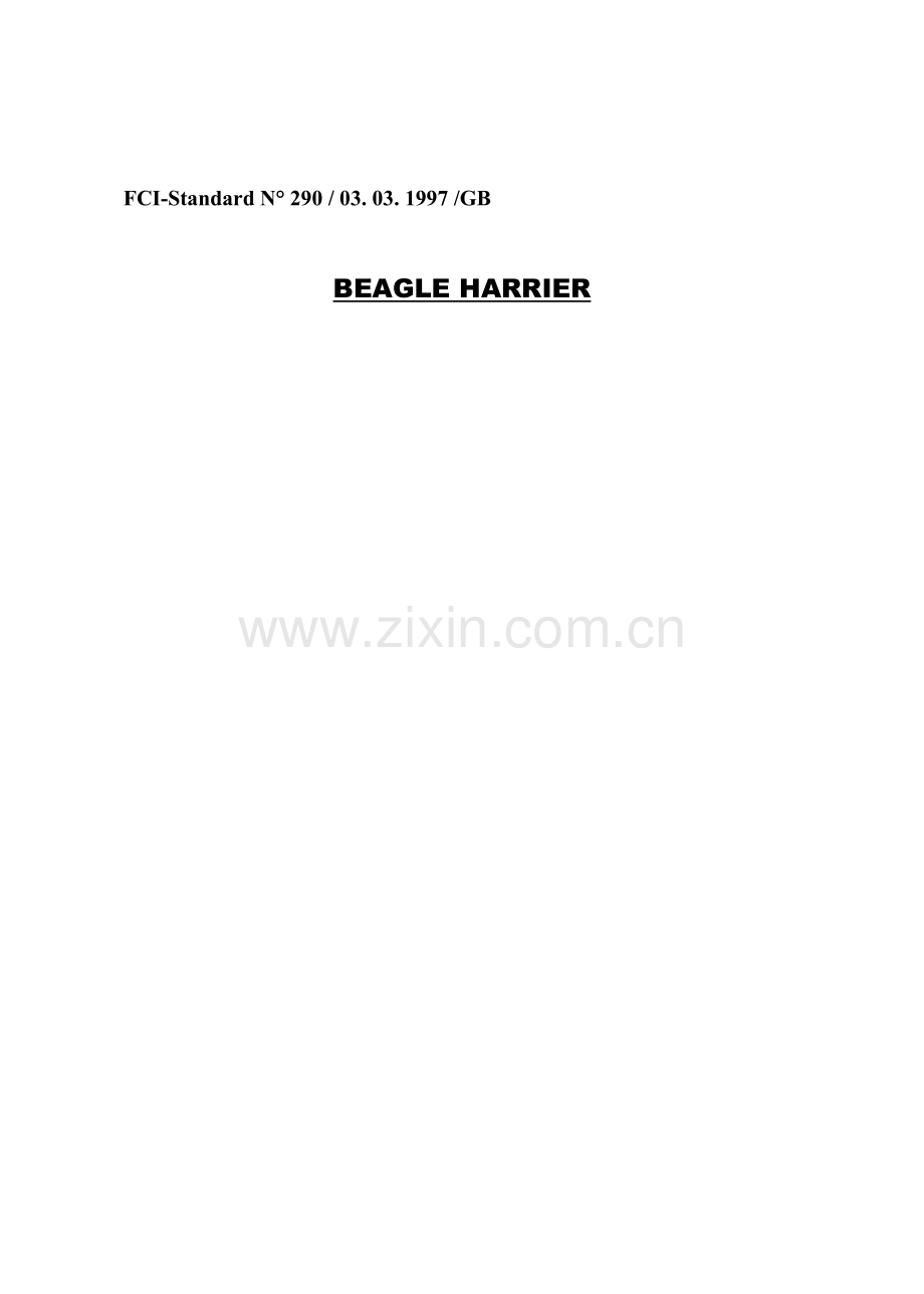 Beagle-Terrier(比格猎犬).doc_第1页