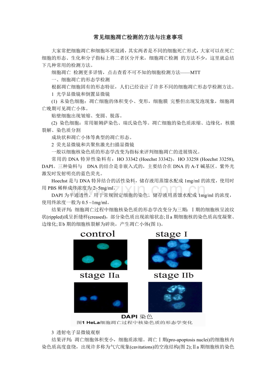 常见细胞凋亡检测的方法与注意事项.doc_第1页