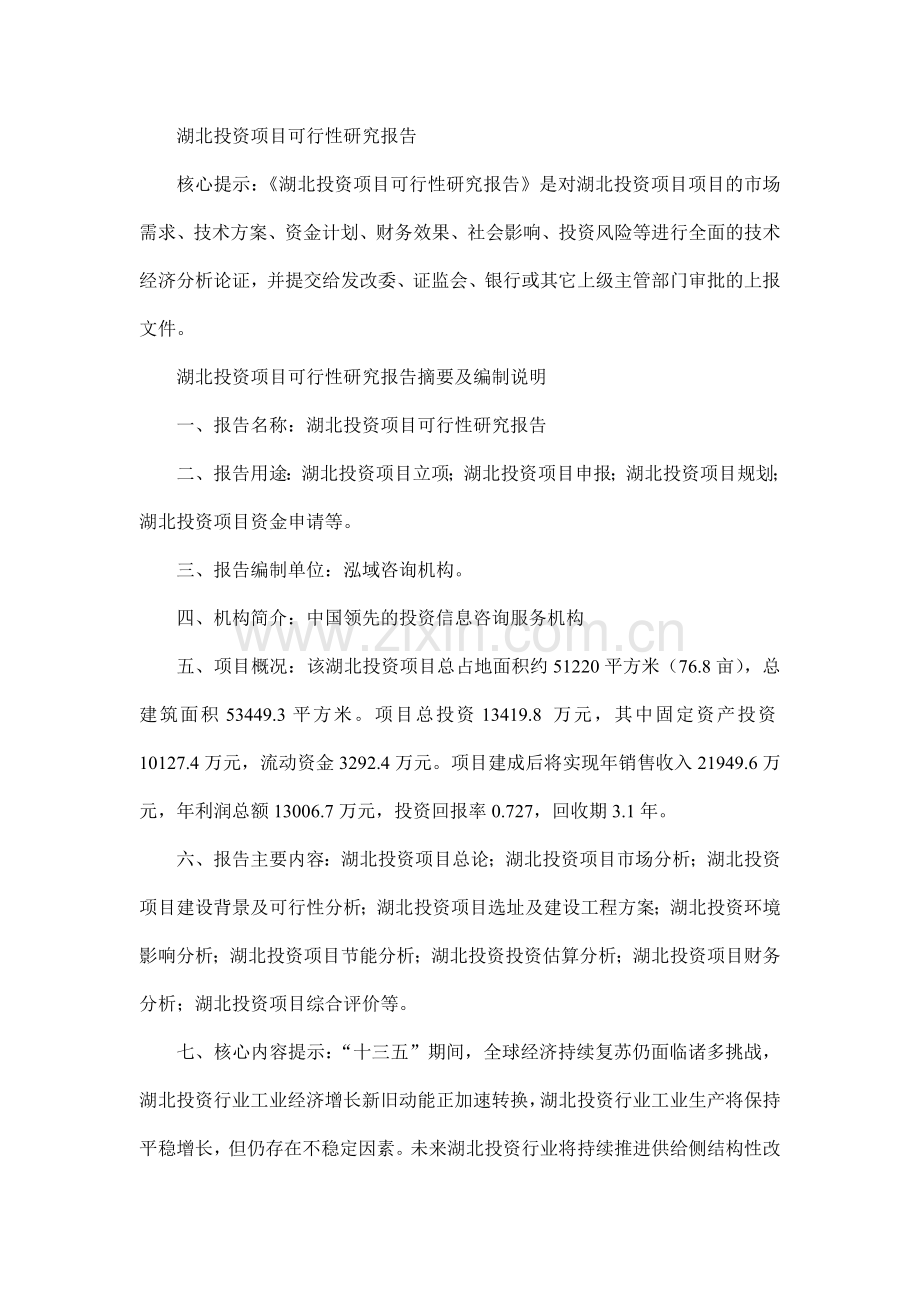湖北投资项目可行性研究报告.doc_第1页