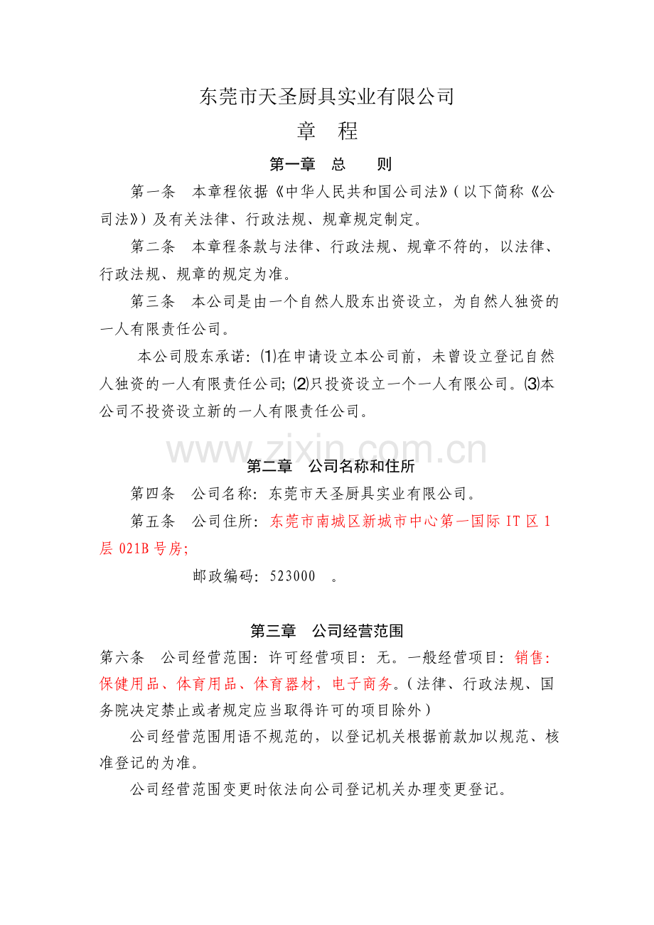 自然人独资有限公司设执行董事章程.doc_第1页