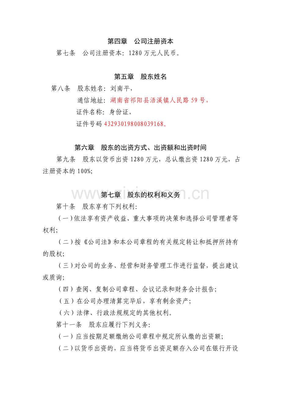 自然人独资有限公司设执行董事章程.doc_第2页