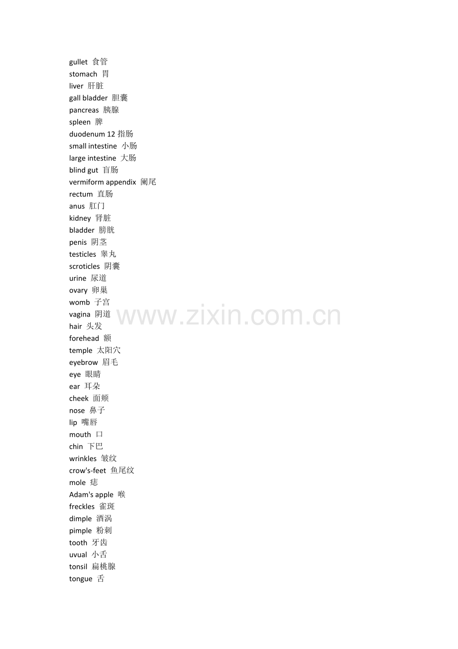 所有身体各个部位.doc_第2页