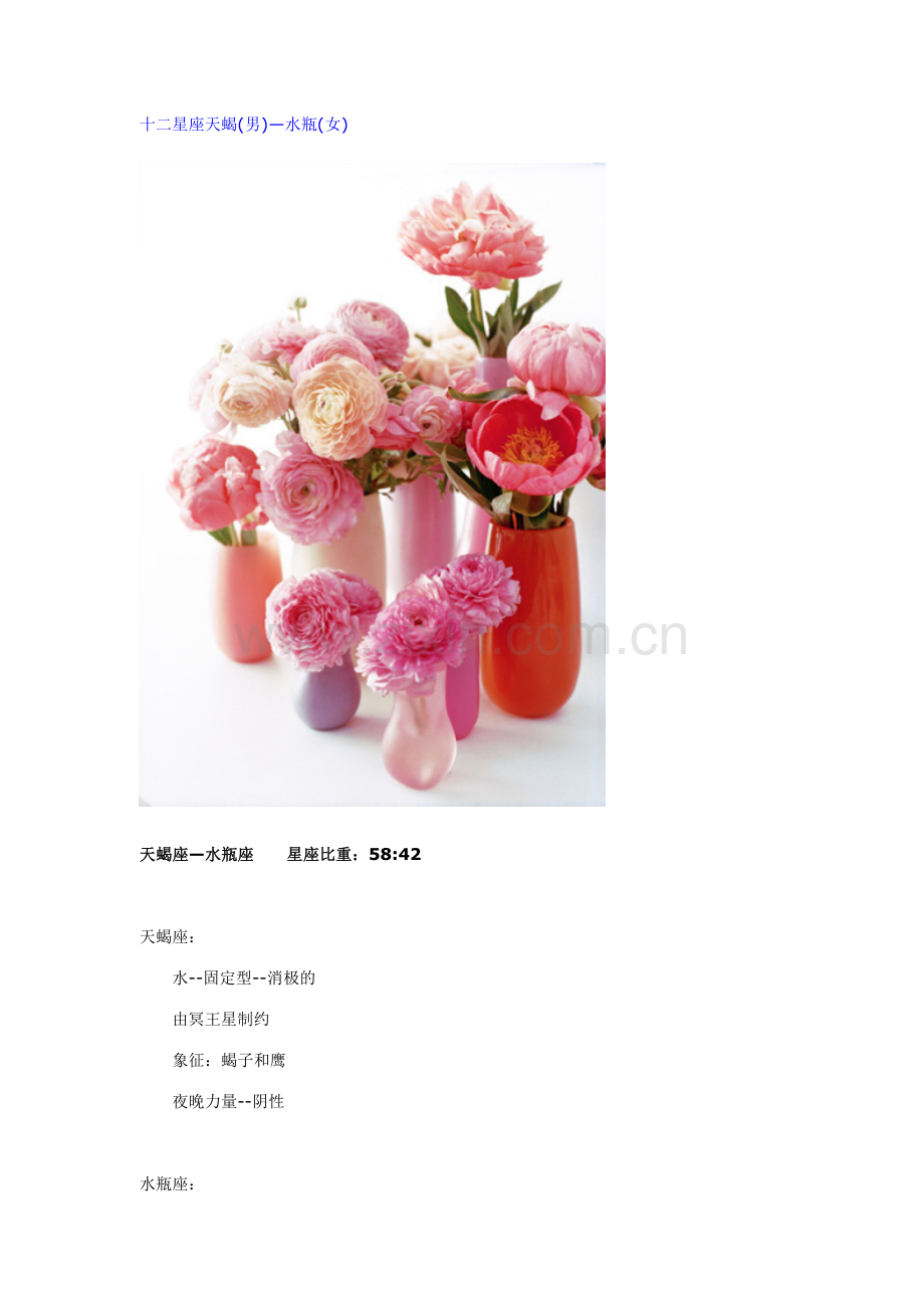 十二星座天蝎（男）—水瓶（女）.doc_第1页