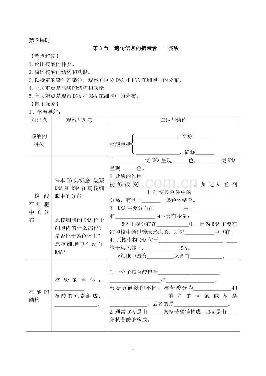 遗传信息的携带者——核酸.doc_第1页
