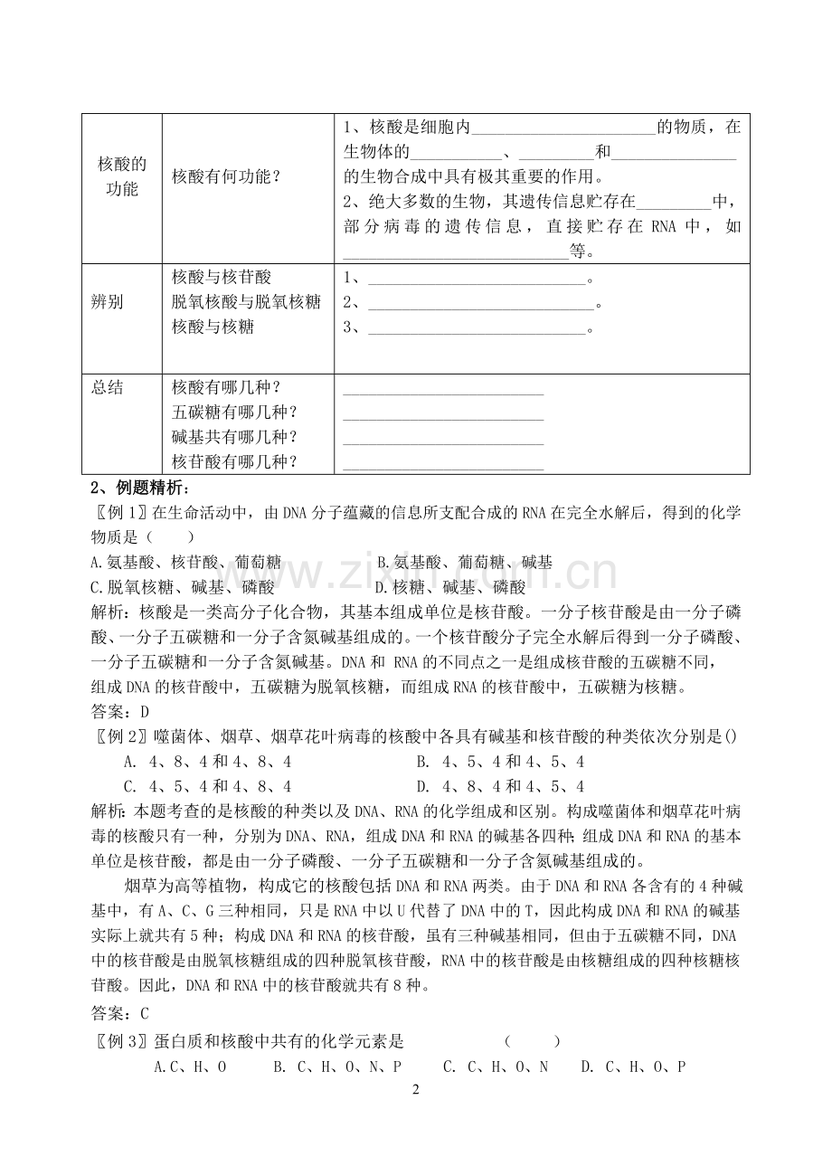 遗传信息的携带者——核酸.doc_第2页