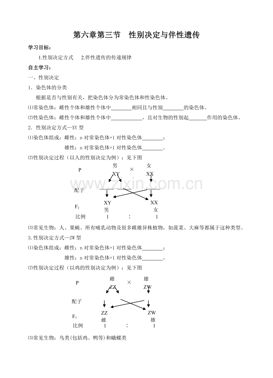 第六章第三节性别决定与伴性遗传.doc_第1页