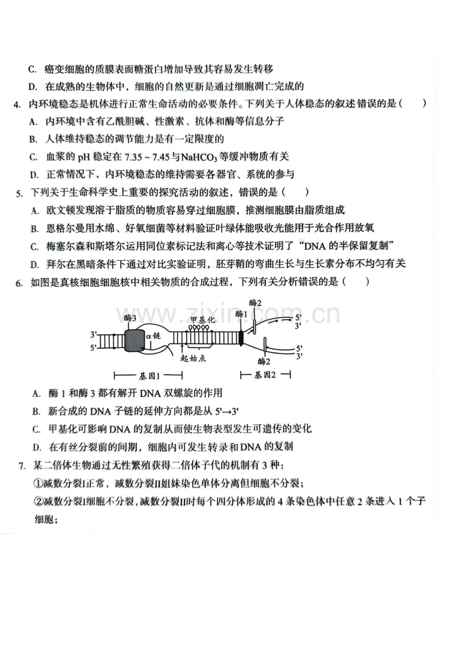 2025届安徽省A10联盟高三上学期开学考-生物试题（含答案）.docx_第2页