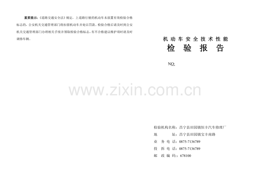 机动车安全技术性能检验报告.doc_第1页