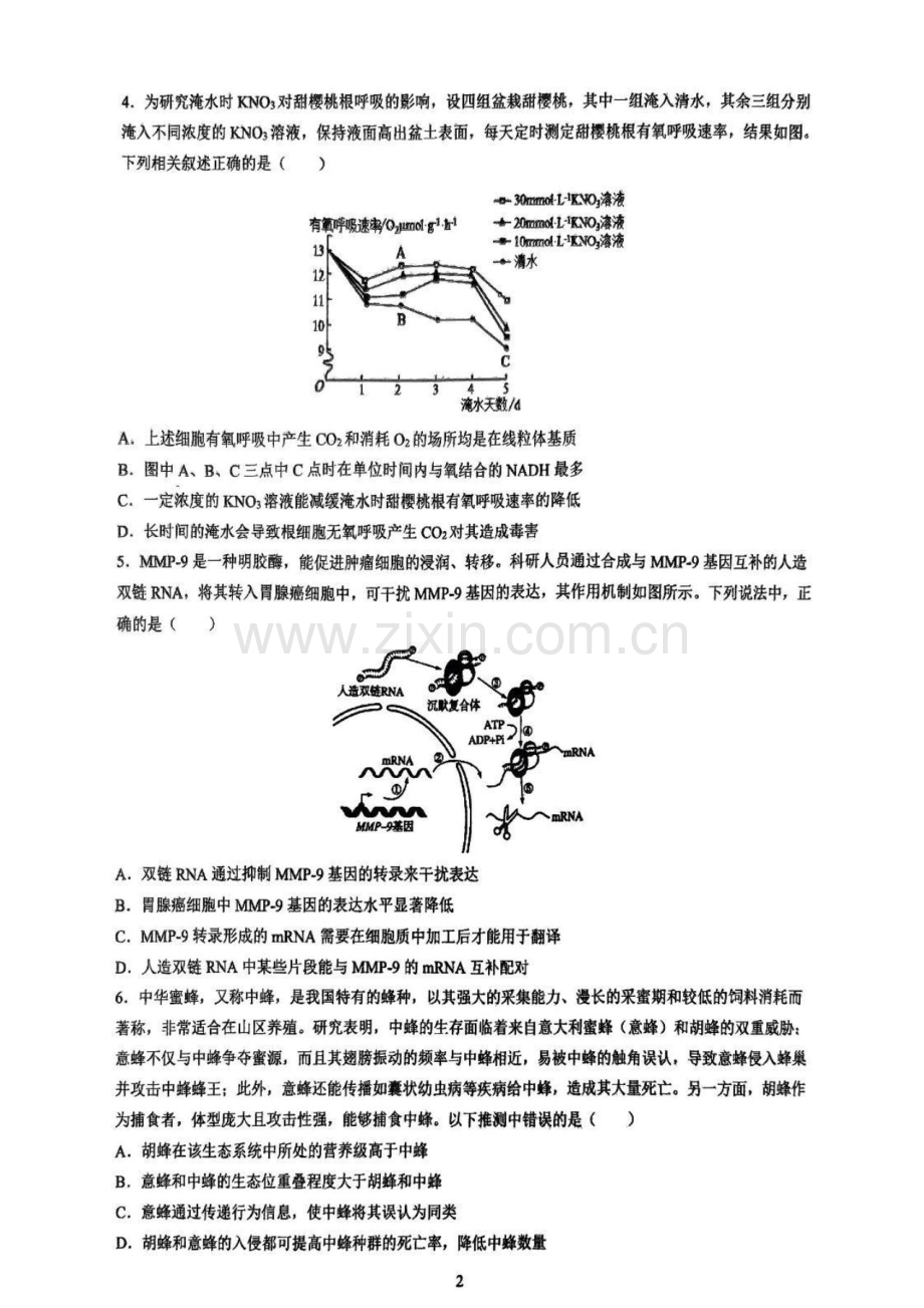 2025届湖南省长沙市雅礼中学高三上学期开学考-生物试题（含答案）.docx_第2页
