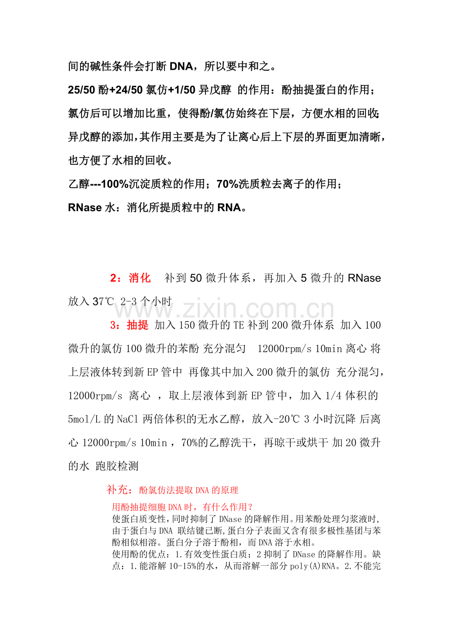 基因克隆-操作步骤原理及注意事项.doc_第2页