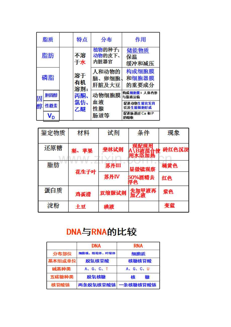 高中生物必修1高考重点知识.doc_第2页