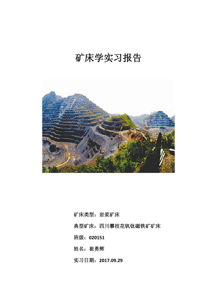 岩浆矿床实习报告(四川攀枝花钒钛磁铁矿矿床).docx_第1页