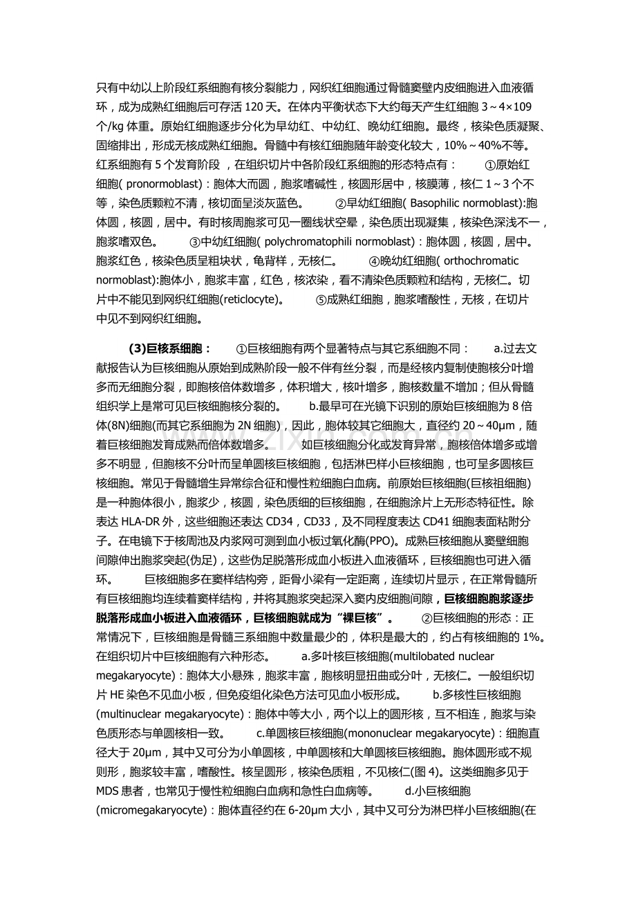 髓系-淋巴系细胞.docx_第2页