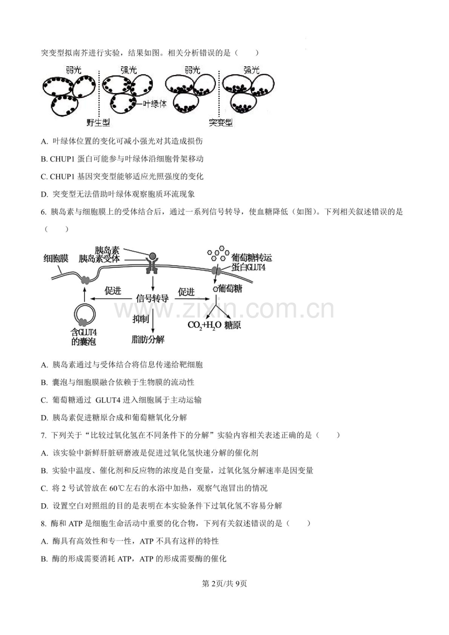 2025届湖南省长沙周南中学高三下学期10月第二阶段考试-生物试题（含答案）.docx_第2页