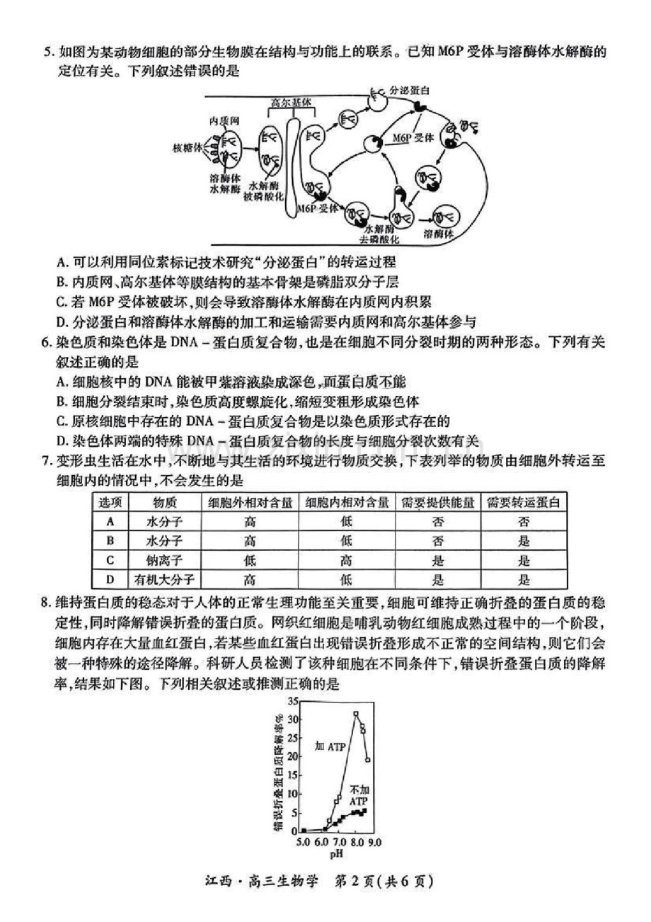 2025届江西省稳派智慧上进联考高三下学期10月联考-生物试卷（含答案）.docx_第2页