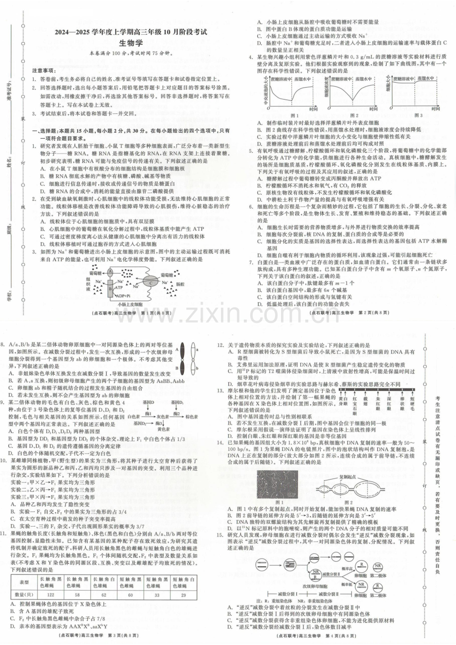 2025届辽宁省点石联考高三下学期10月阶段考试-生物试题（含答案）.docx_第1页