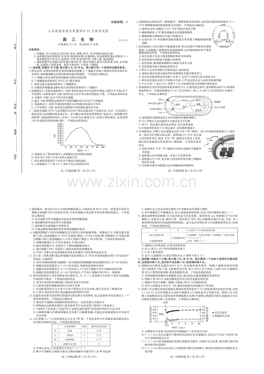 2025届山东新高考联合质量测评高三下学期10月联考-生物试题（含答案）.docx_第1页