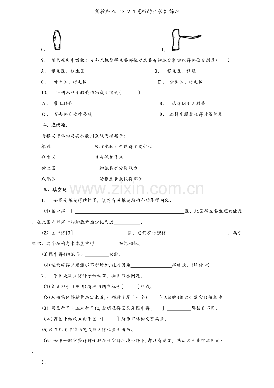 冀教版八上3.2.1《根的生长》练习.doc_第2页