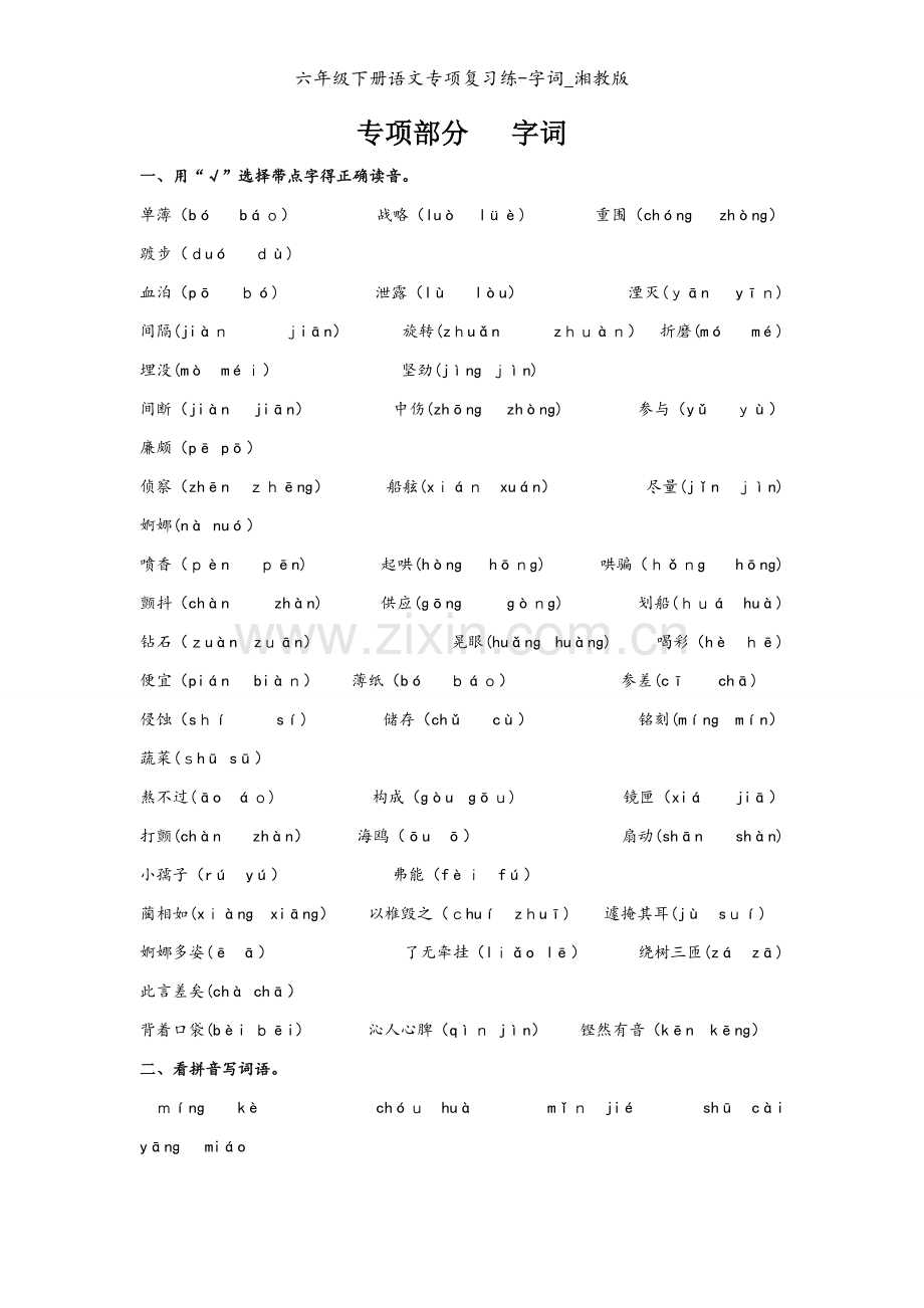 六年级下册语文专项复习练-字词_湘教版.doc_第1页