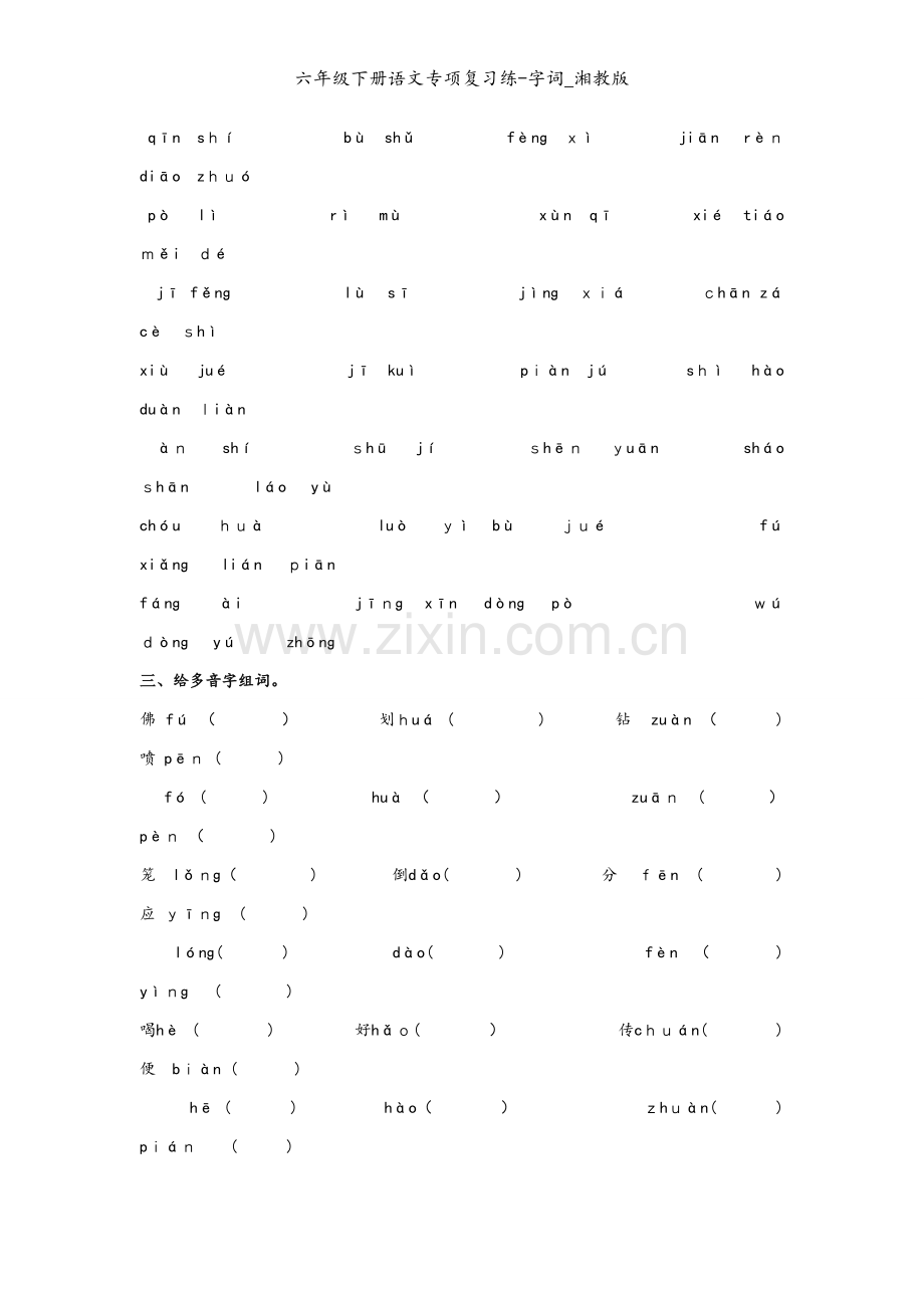 六年级下册语文专项复习练-字词_湘教版.doc_第2页