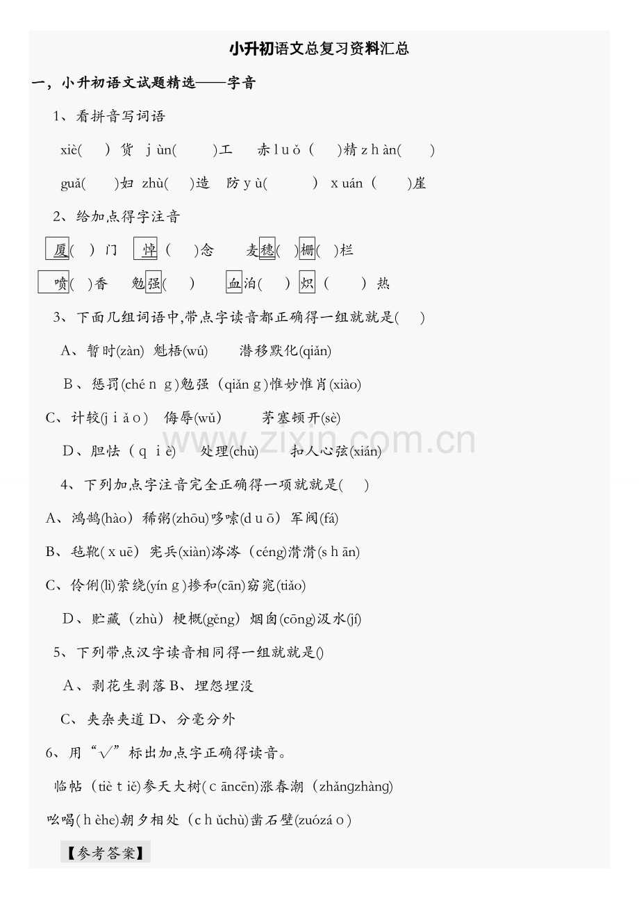 小升初语文总复习资料.docx_第1页