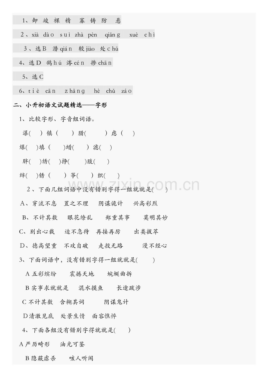 小升初语文总复习资料.docx_第2页