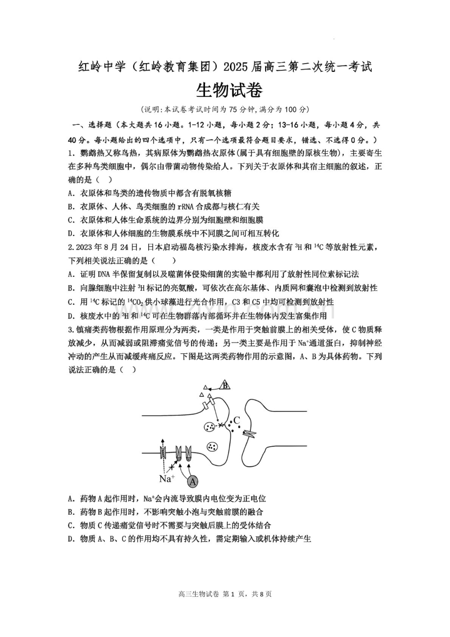 2025届广东省深圳市红岭中学高三下学期第二次统一考试-生物试题（含答案）.docx_第1页