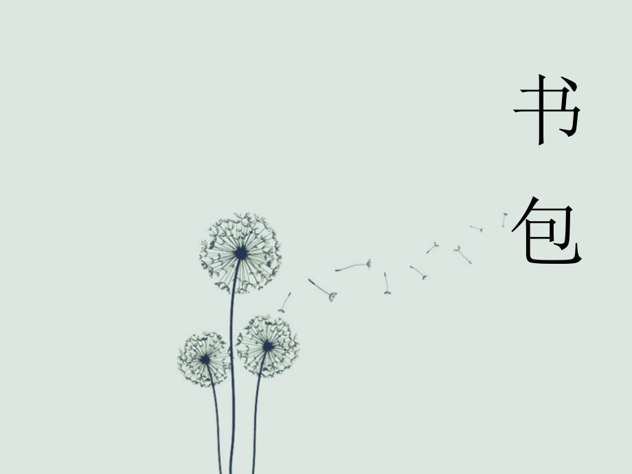 湘教版五年级美术 书包课件.ppt_第1页