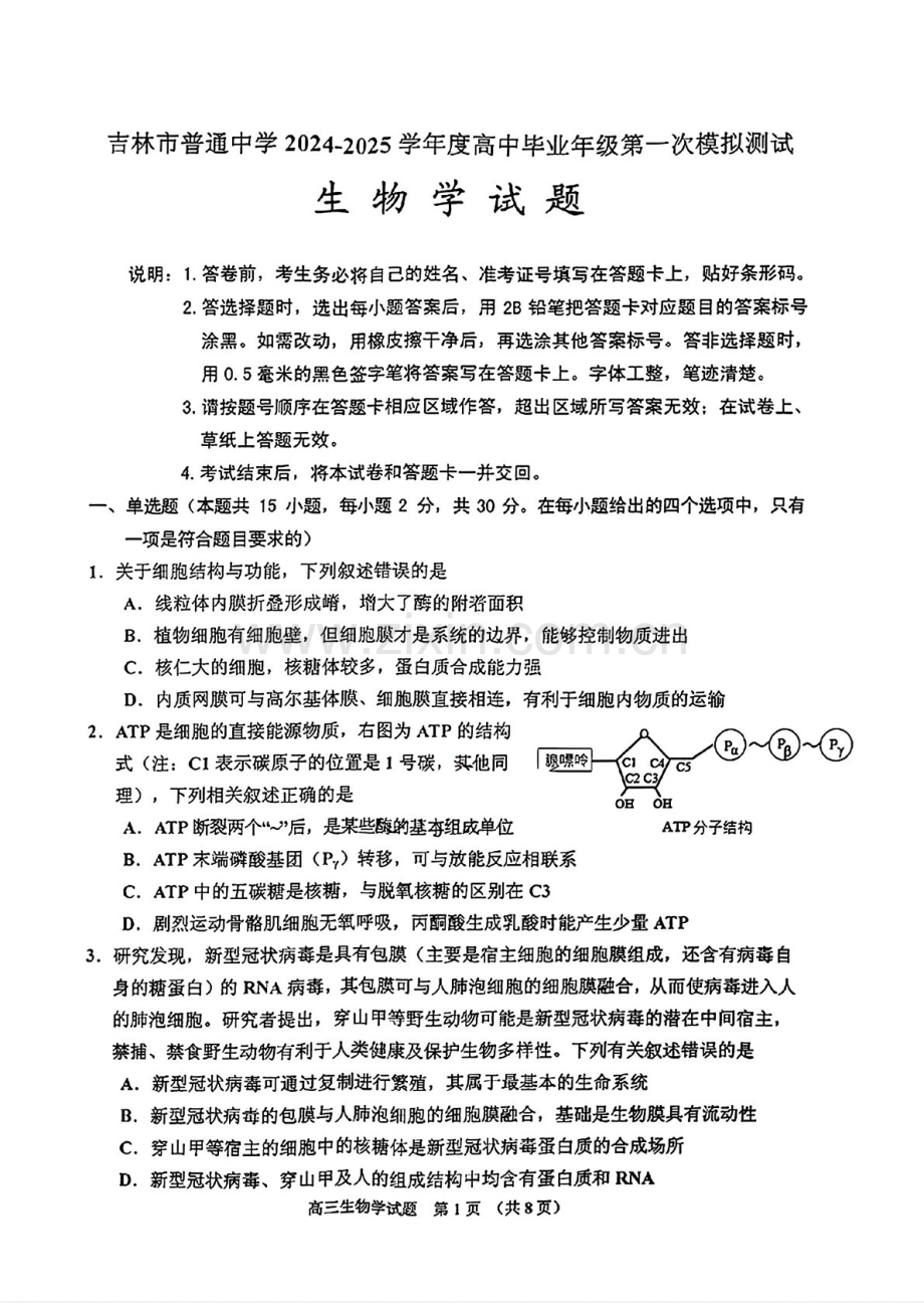 2025届吉林省吉林市高三下学期10月一模考试-生物试题（含答案）.docx_第1页
