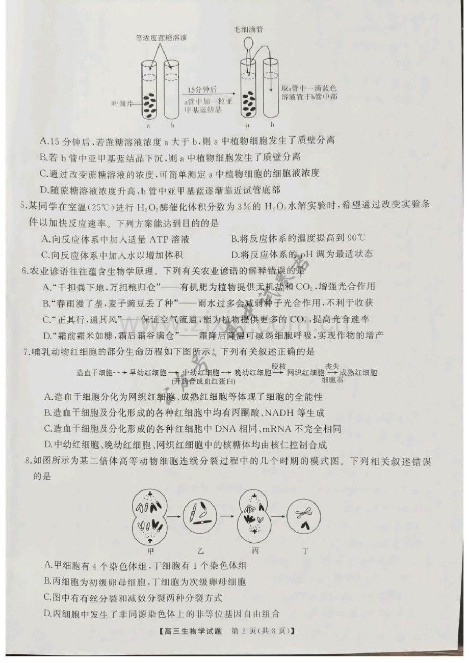 2025届山西省三重教育高三下学期10月联考-生物试题（含答案）.docx_第2页