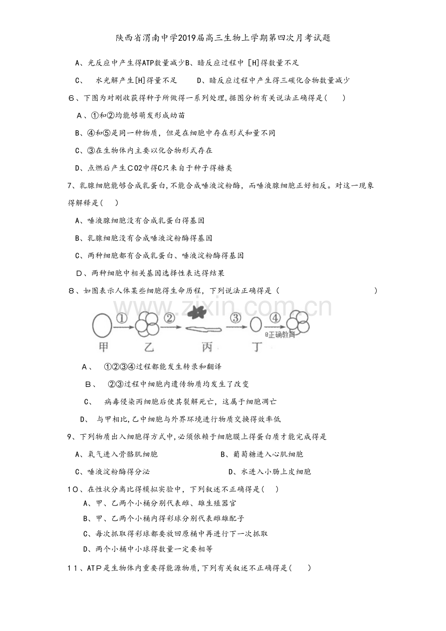 陕西省渭南中学2019届高三生物上学期第四次月考试题.doc_第2页