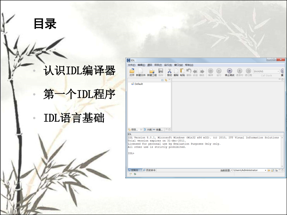 idl语言基础知识.pptx_第2页
