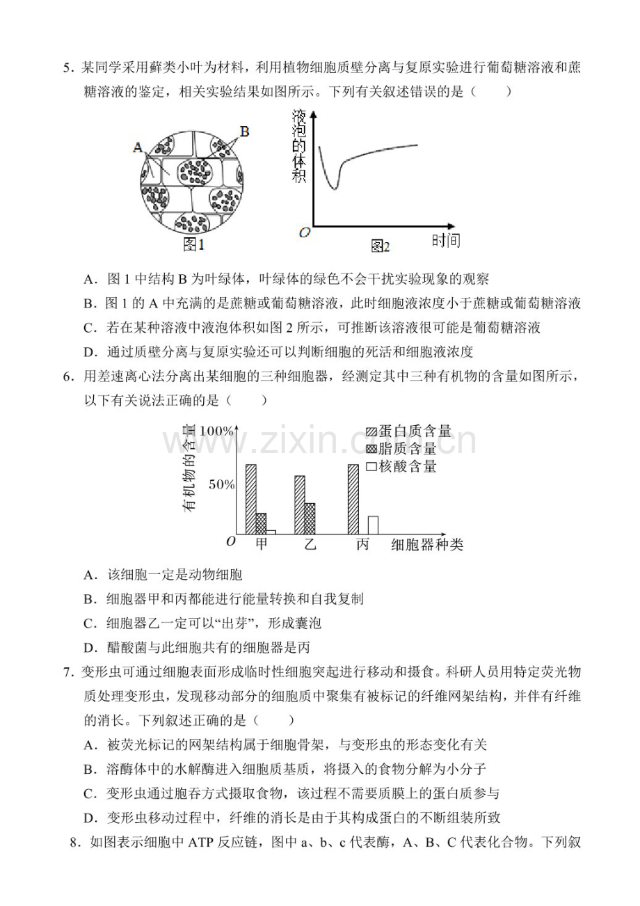 2025届海南省文昌中学高三下学期10月第二次月考-生物试题（含答案）.docx_第2页