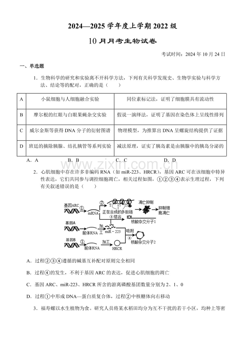 2025届湖北省荆州市沙市中学高三下学期10月考-生物试题（含答案）.docx_第1页