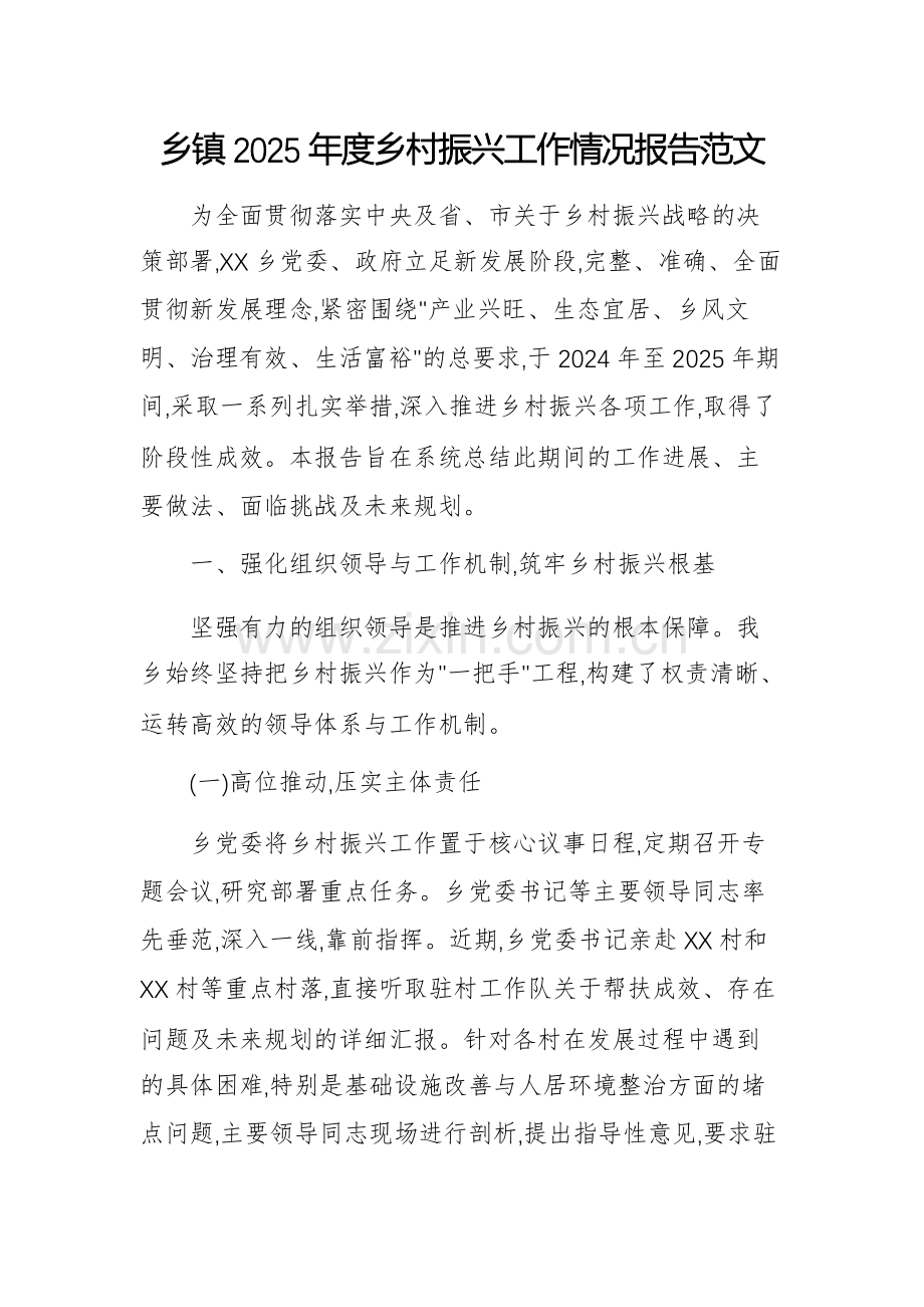 乡2025年度乡村振兴工作情况报告范文.docx_第1页