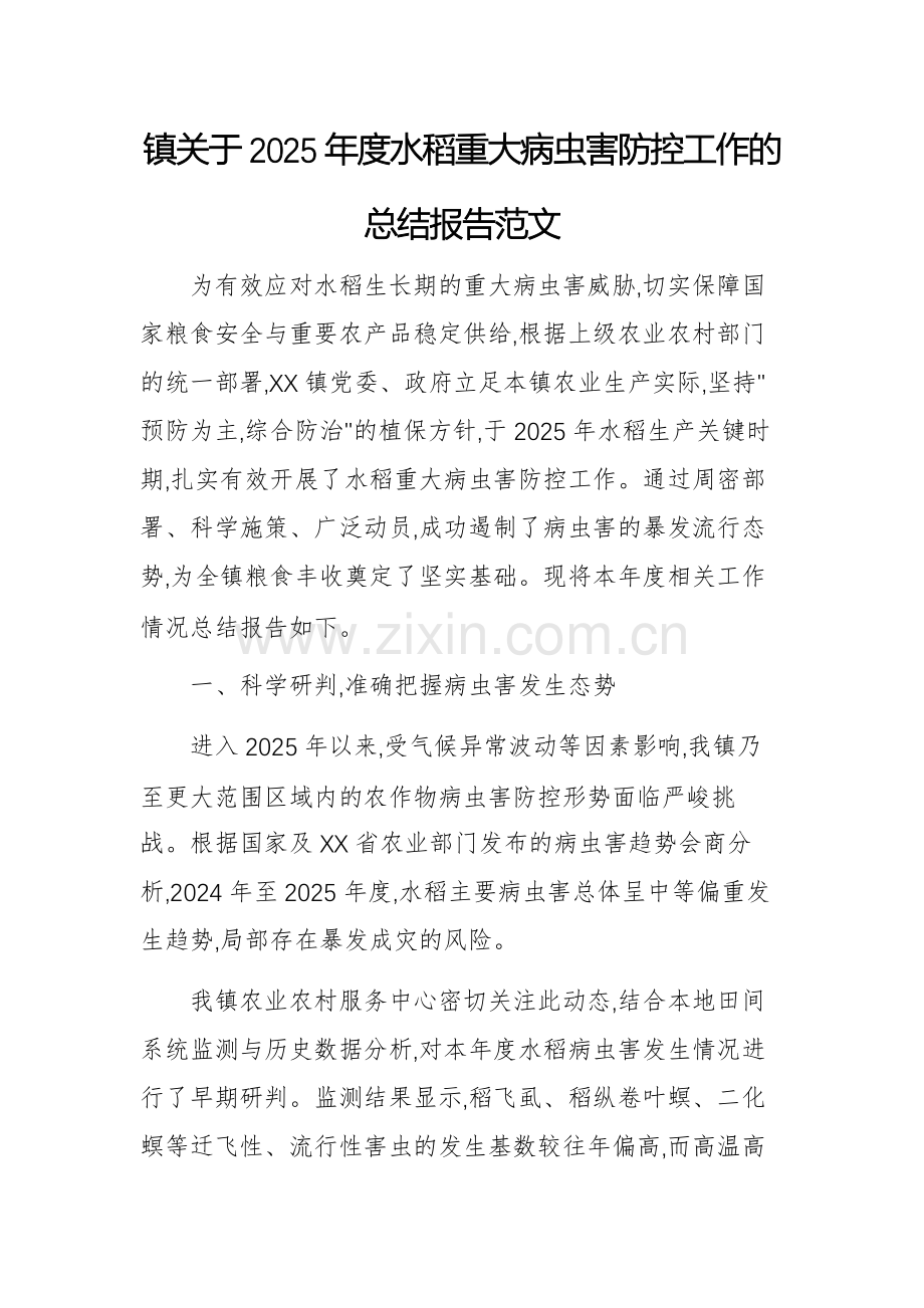 2025年度水稻重大病虫害防控工作的总结报告范文.docx_第1页