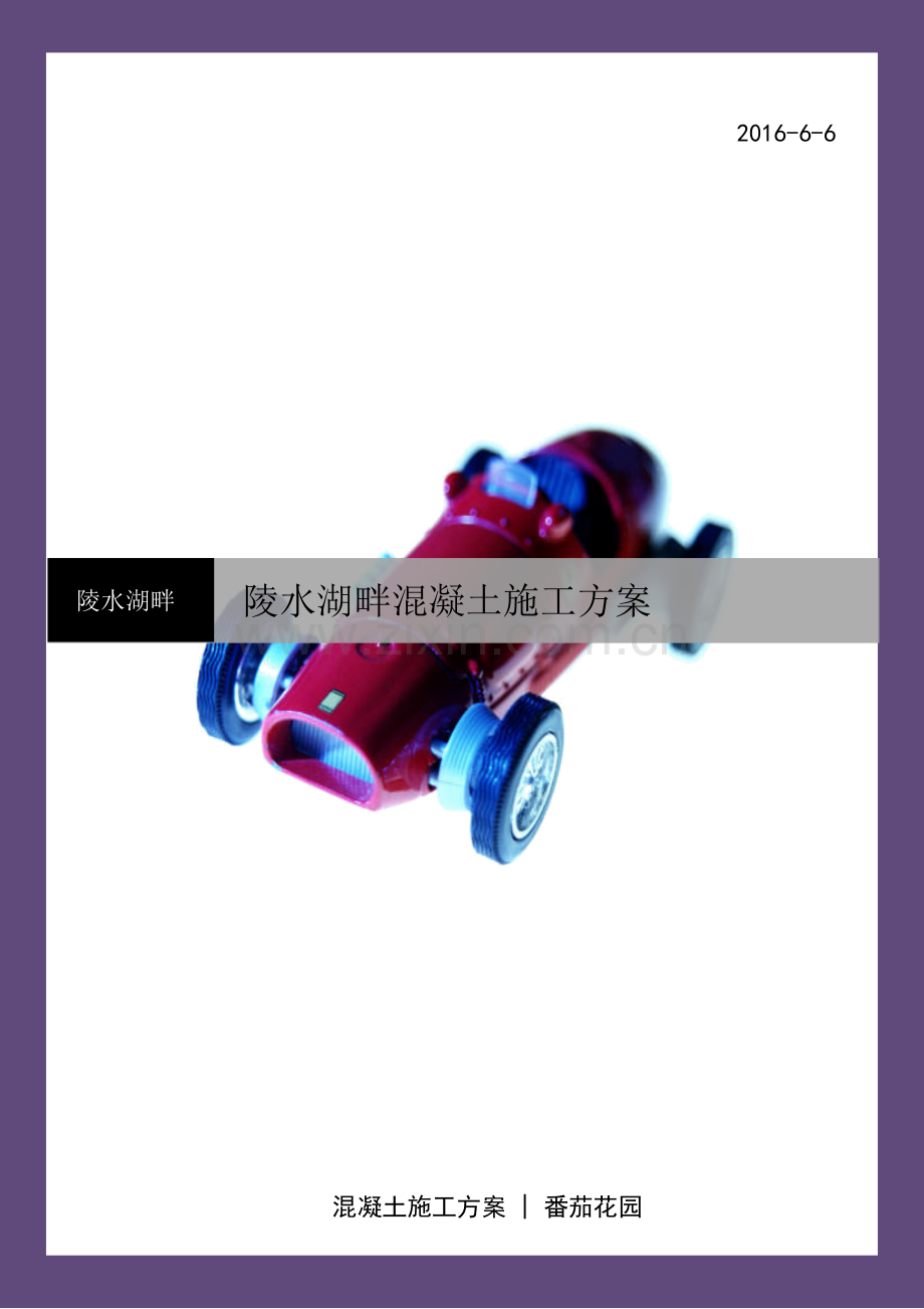 砼浇筑专项方案.doc_第1页