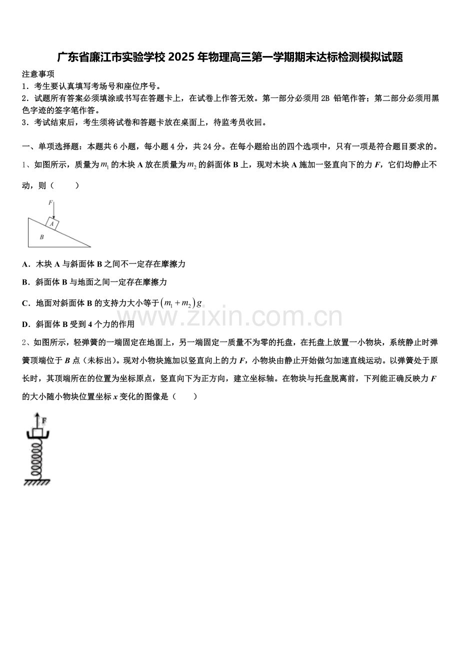 广东省廉江市实验学校2025年物理高三第一学期期末达标检测模拟试题.doc_第1页