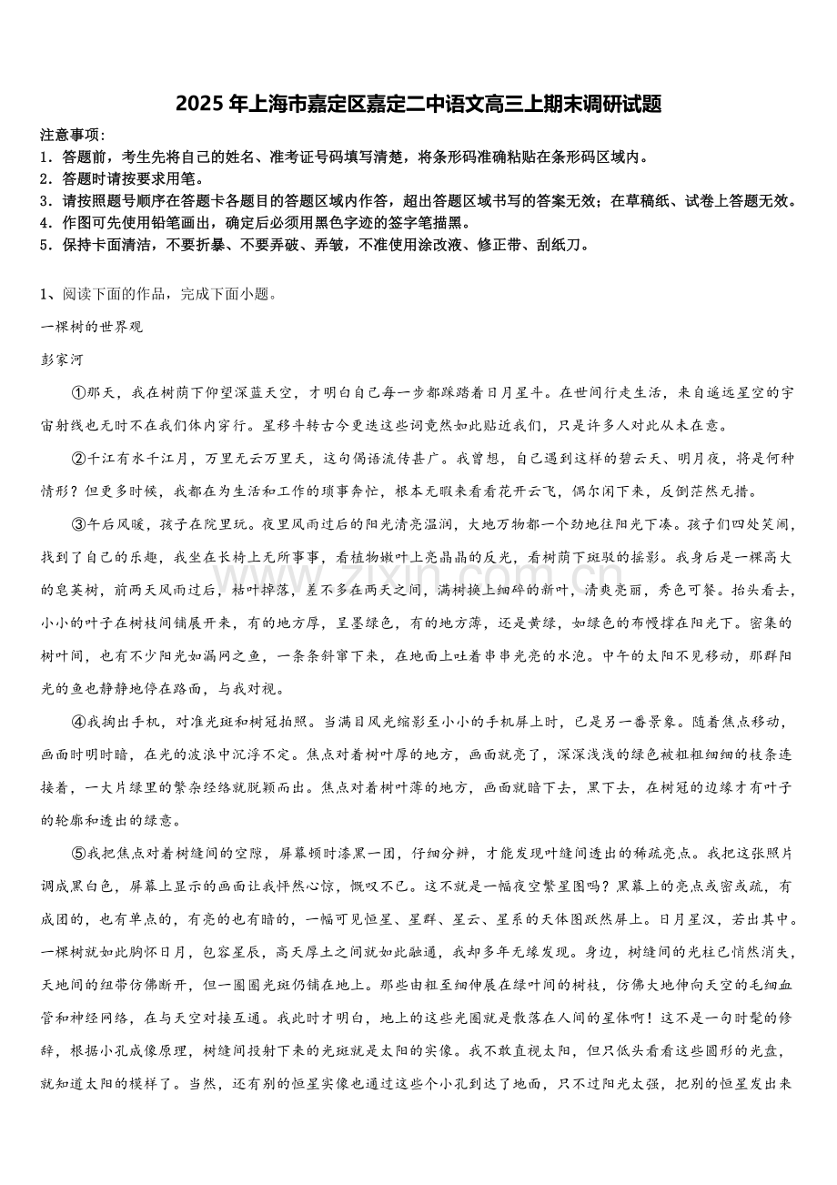 2025年上海市嘉定区嘉定二中语文高三上期末调研试题.doc_第1页