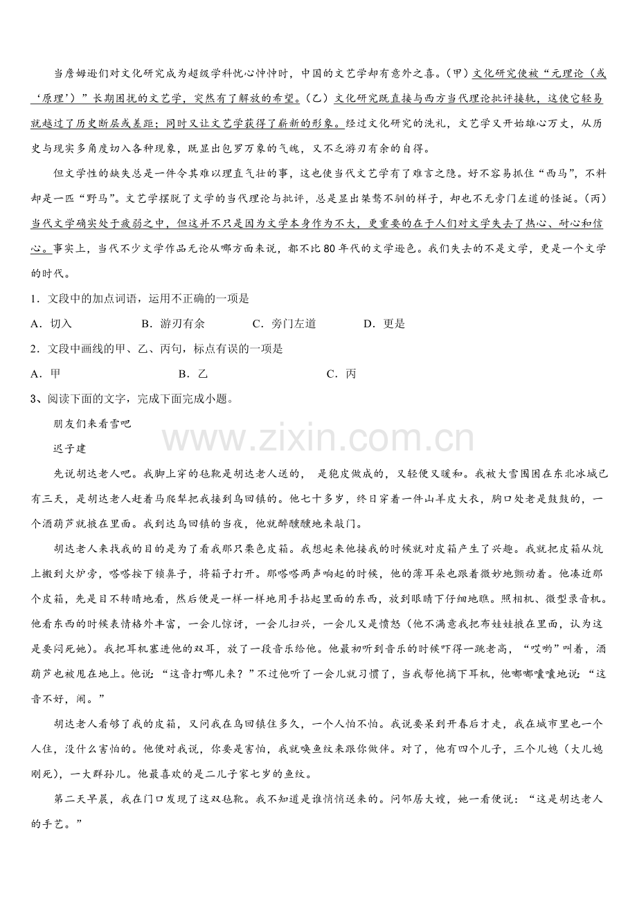 2025年湖南省冷水江市第一中学语文高三第一学期期末达标检测试题.doc_第2页