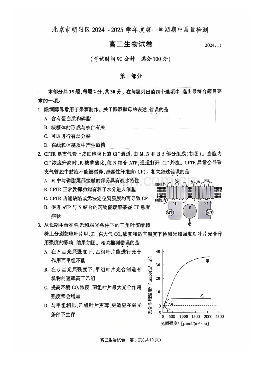 2025届北京市朝阳区高三下学期11月期中质量检测-生物试卷（含答案）.docx_第1页
