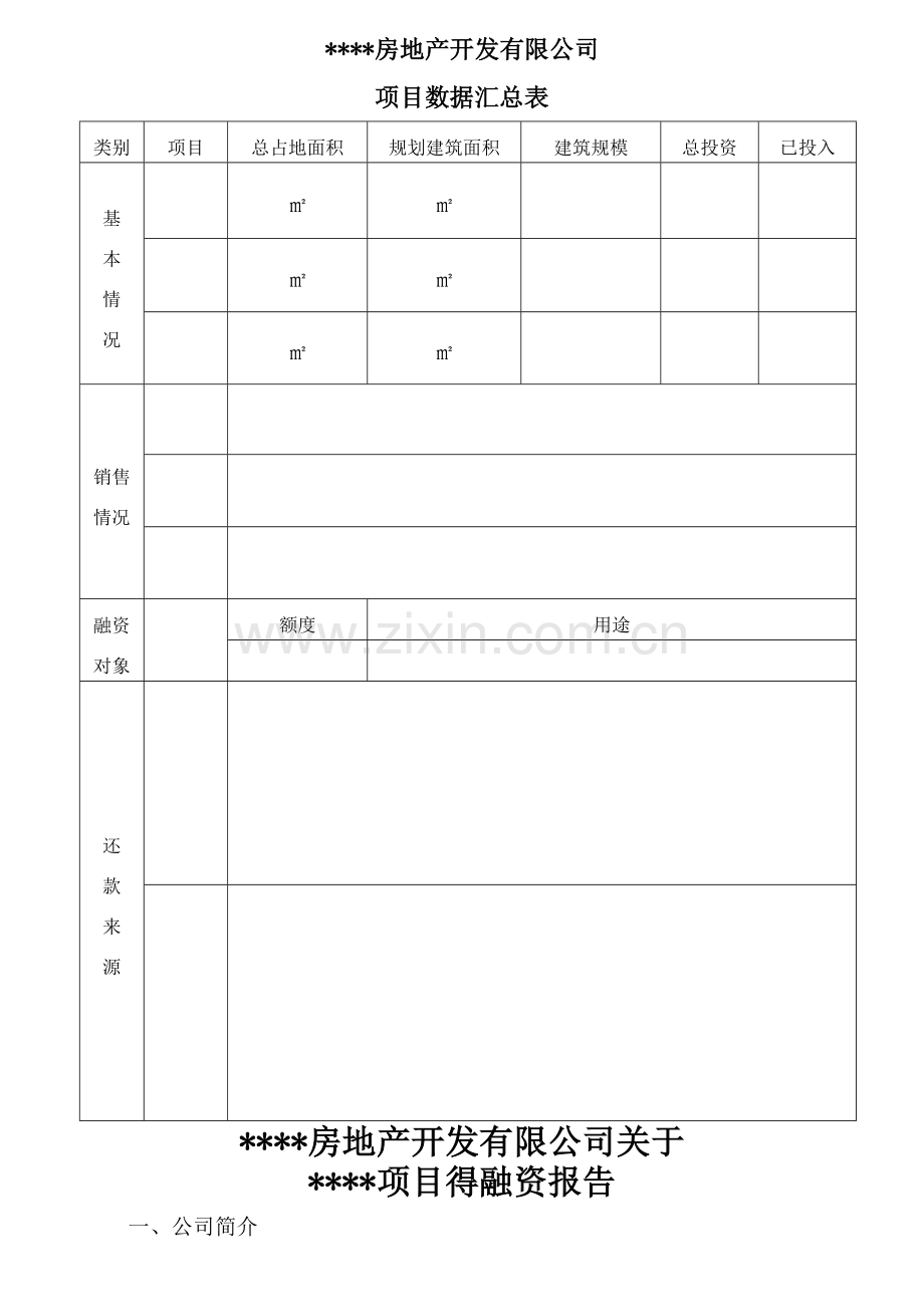 房地产公司融资报告.doc_第1页