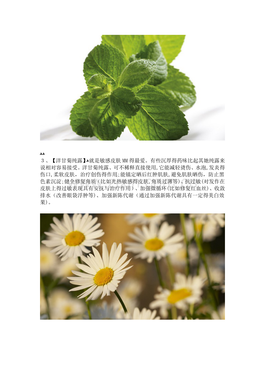 各种纯露的作用.doc_第2页