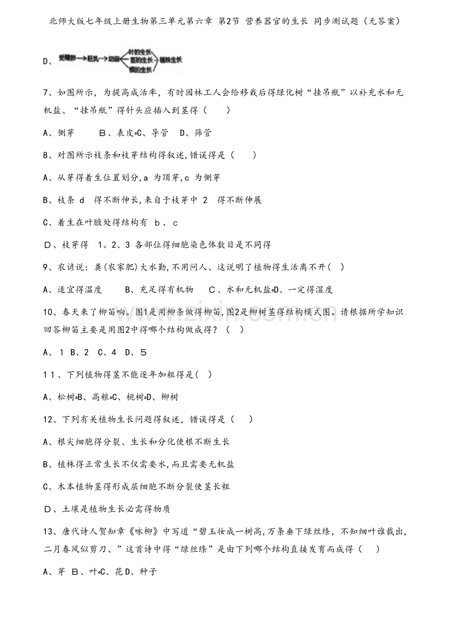 北师大版七年级上册生物第三单元第六章 第2节 营养器官的生长 同步测试题（无答案）.doc_第2页