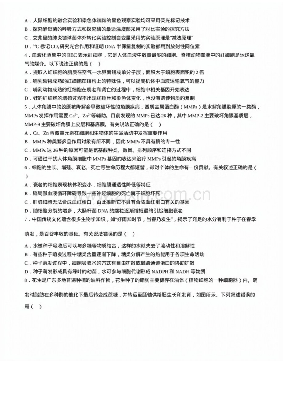 2025届广东省佛山市顺德区高三下学期11月第一次质检-生物试卷（含答案）.docx_第2页