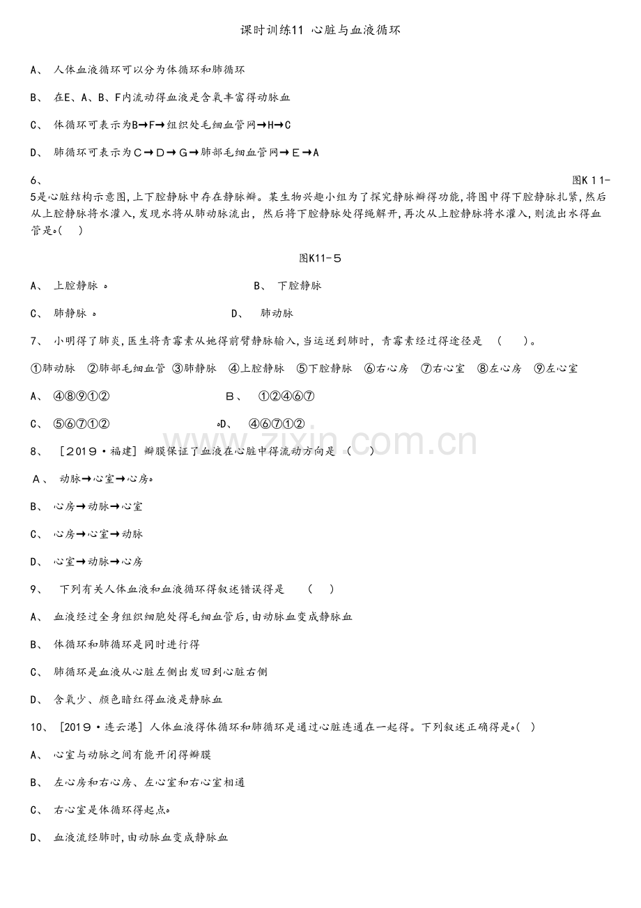 课时训练11 心脏与血液循环.docx_第2页