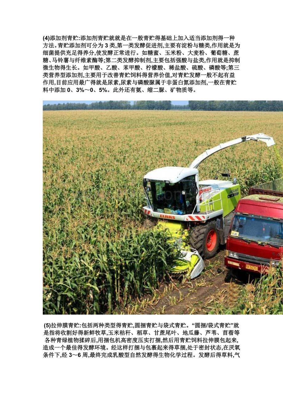 青贮玉米质量标准.doc_第2页