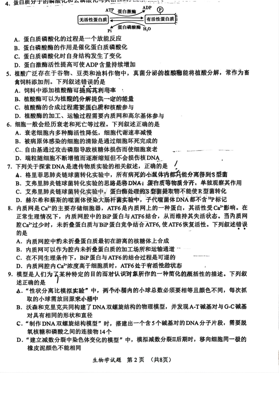 2025届福建省名校联盟高三下学期11月期中质检-生物试卷（含答案）.docx_第2页