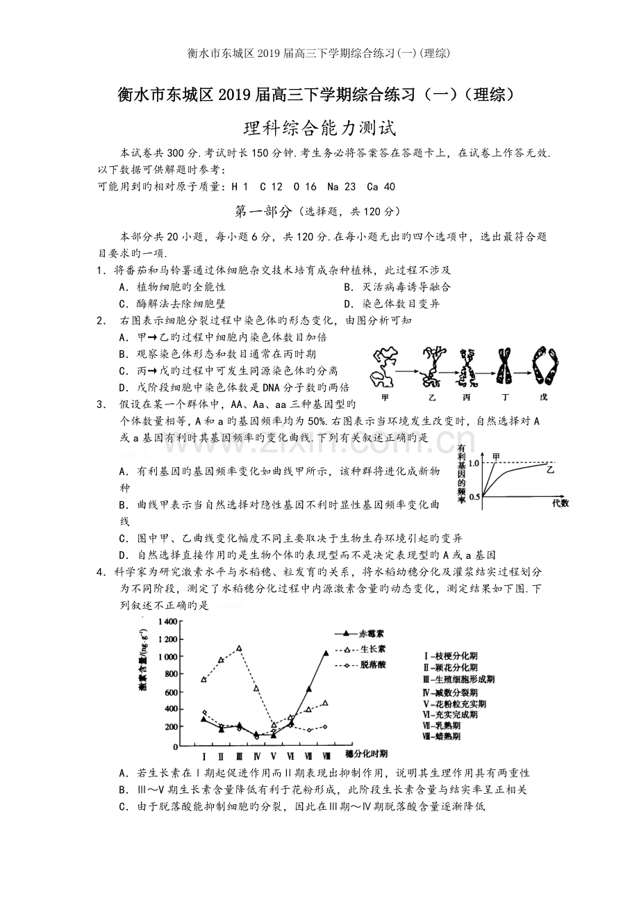 衡水市东城区2019届高三下学期综合练习(一)(理综).doc_第1页
